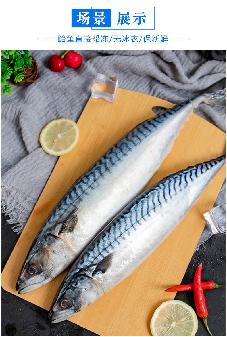 鲐鱼新鲜鲐鲅鱼青占鱼青花鱼海捕新鲜青花鱼海鲜水产康胜谊4斤装