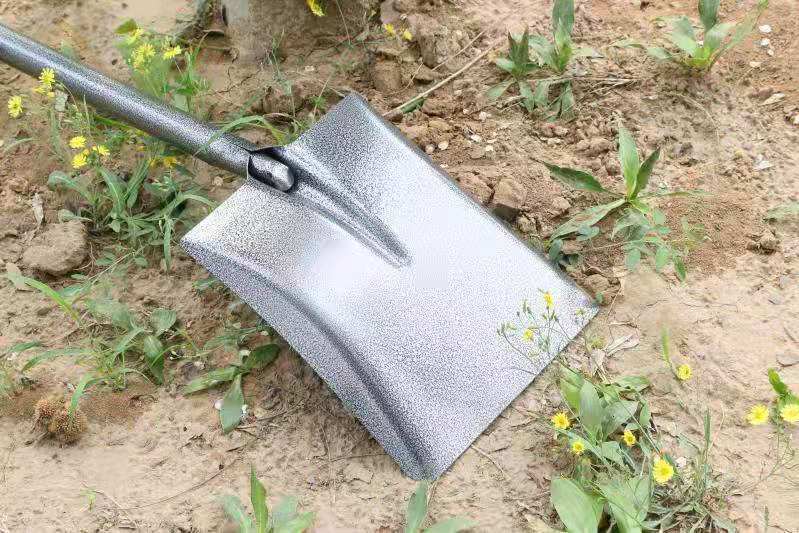 锹铁锹农用挖土铁铲种菜加厚园艺工具小钢铲农具锰钢一体锹铲土铲子豪