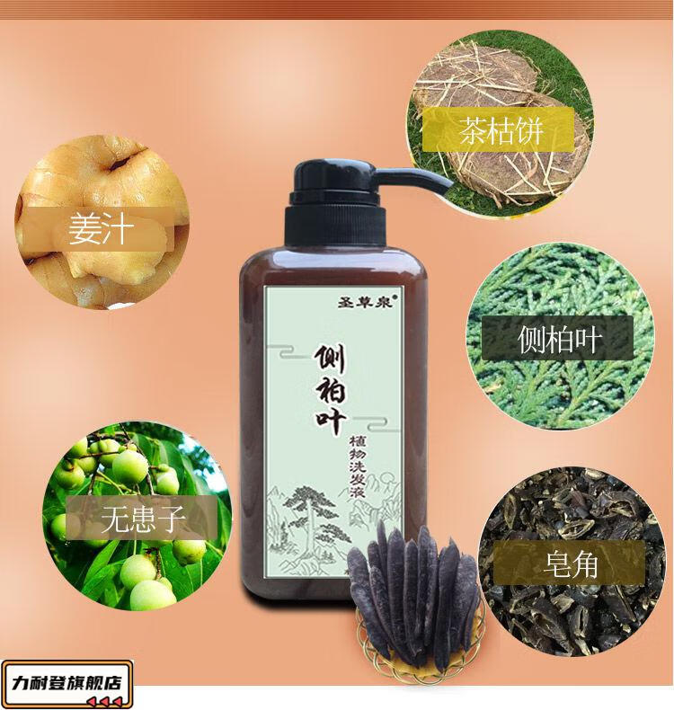 侧柏叶洗发水强韧发根控油去屑止痒洗发水植物皂角首乌生姜无硅油洗发