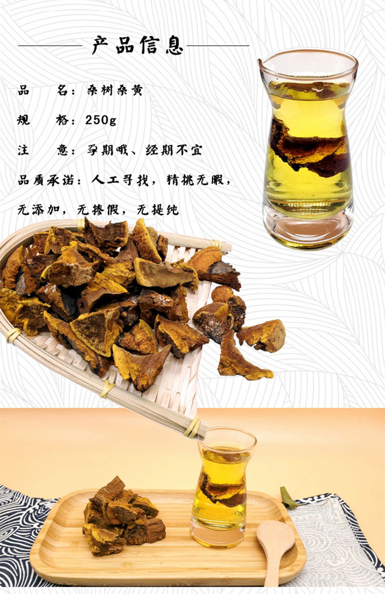 野生桑黄长白山天然养生山货整枝可切片金边桑树桑黄桑黄菌250g