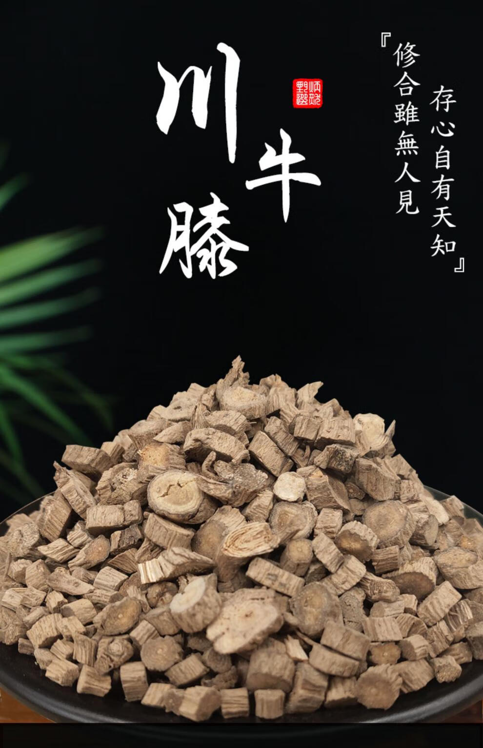 炳然川牛膝500克 川牛夕白牛膝拐牛膝肉牛漆麻牛膝大甜牛膝中药材
