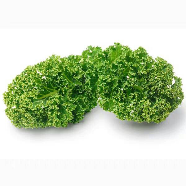 羽衣甘蓝新鲜蔬菜kale现摘现发沙拉打汁食材食用羽翼甘蓝牡丹 净果1斤