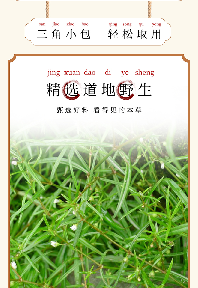 长芳主野生白花蛇舌草半枝莲干货三角包袋泡茶21年新货蛇舌草1罐