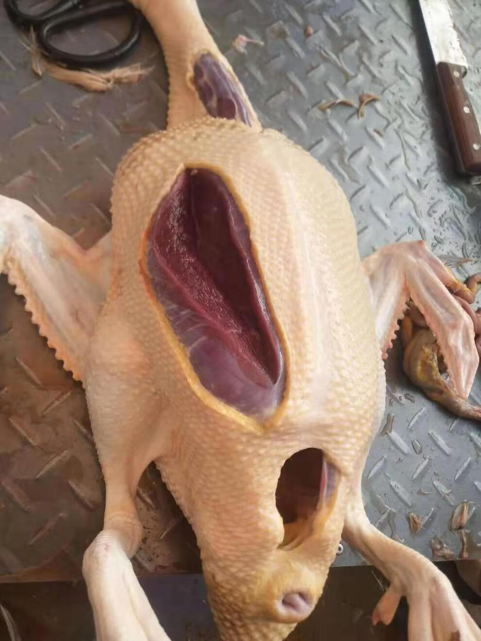 农家散养番鸭红头鸭土鸭子红脸鸳鸯新鲜活体现杀现发生鲜整只鸭肉杀好