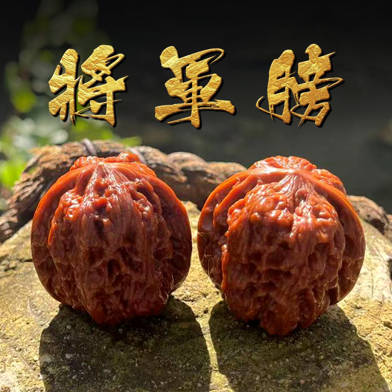 山中玉 文玩核桃 将军膀小众品种大尺寸核头古玩麻核桃盘玩送礼物 m