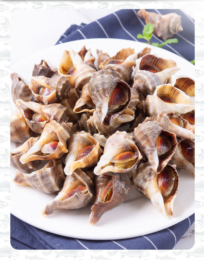 海螺熟冻香螺一口螺小海螺辣炒鲜活新鲜水产贝类螺鲜小海螺即食1斤
