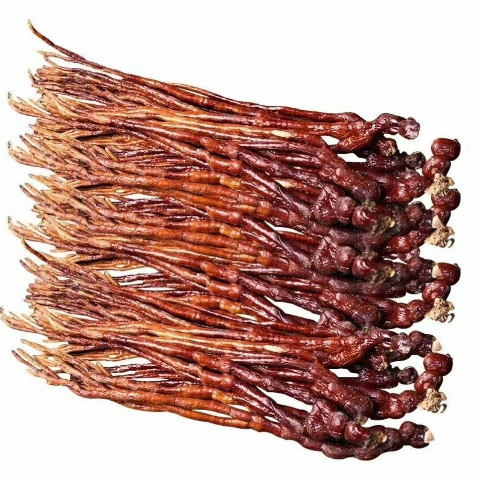 灵芝草中药材佛手灵芝鹿角灵芝水灵芝草泡酒泡茶 野生灵芝大草(500g)