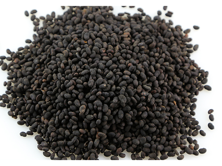 100克 补骨脂中药材野生 破故纸 另有盐炒补骨脂 非同仁堂内廷上用