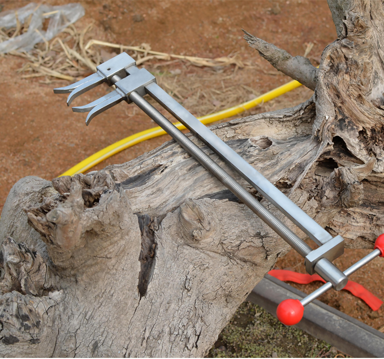 逍遥不锈钢盆景整枝器盆景粗枝造型制作拿弯调枝器工具掌柜 不锈钢