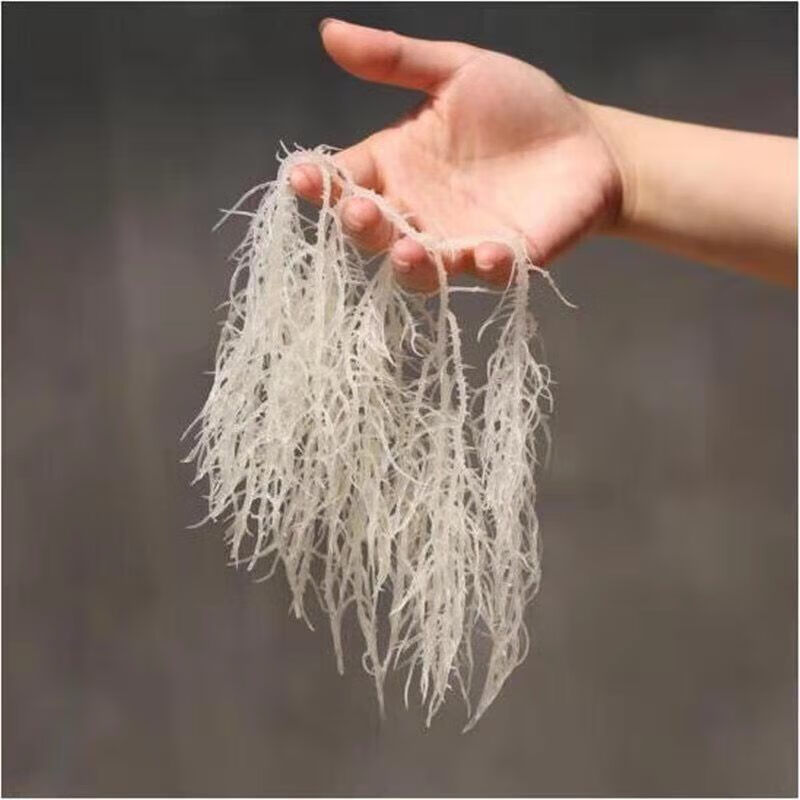 农家新鲜干龙须菜无盐压缩蔬菜鹿角菜野生龙须菜石花菜干货特级500克