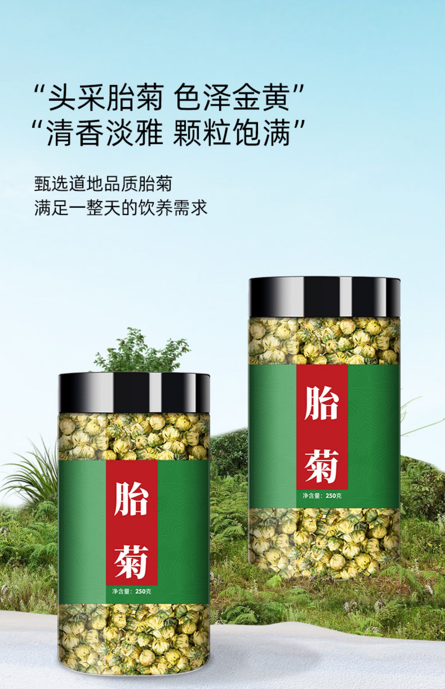 同仁堂同仁堂胖大海菊花茶官方决明子金银花胎菊花茶非去火清热1罐