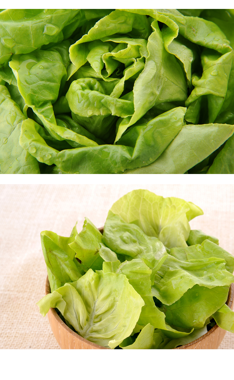 borox奶油生菜切片净菜轻食新鲜蔬菜沙拉开袋即食配菜食材即食q坏果