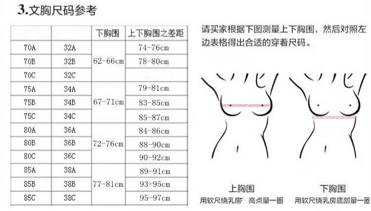 浪莎欧美风蔷薇花小胸无钢圈文胸内衣女士女生法国网