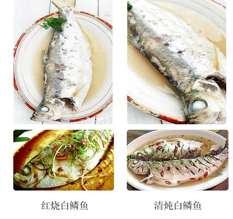 白鳞鱼咸鱼半干品咸香鱼清蒸鱼海鱼鲙鱼力鱼曹白鱼水产咸鳓鱼 500克3