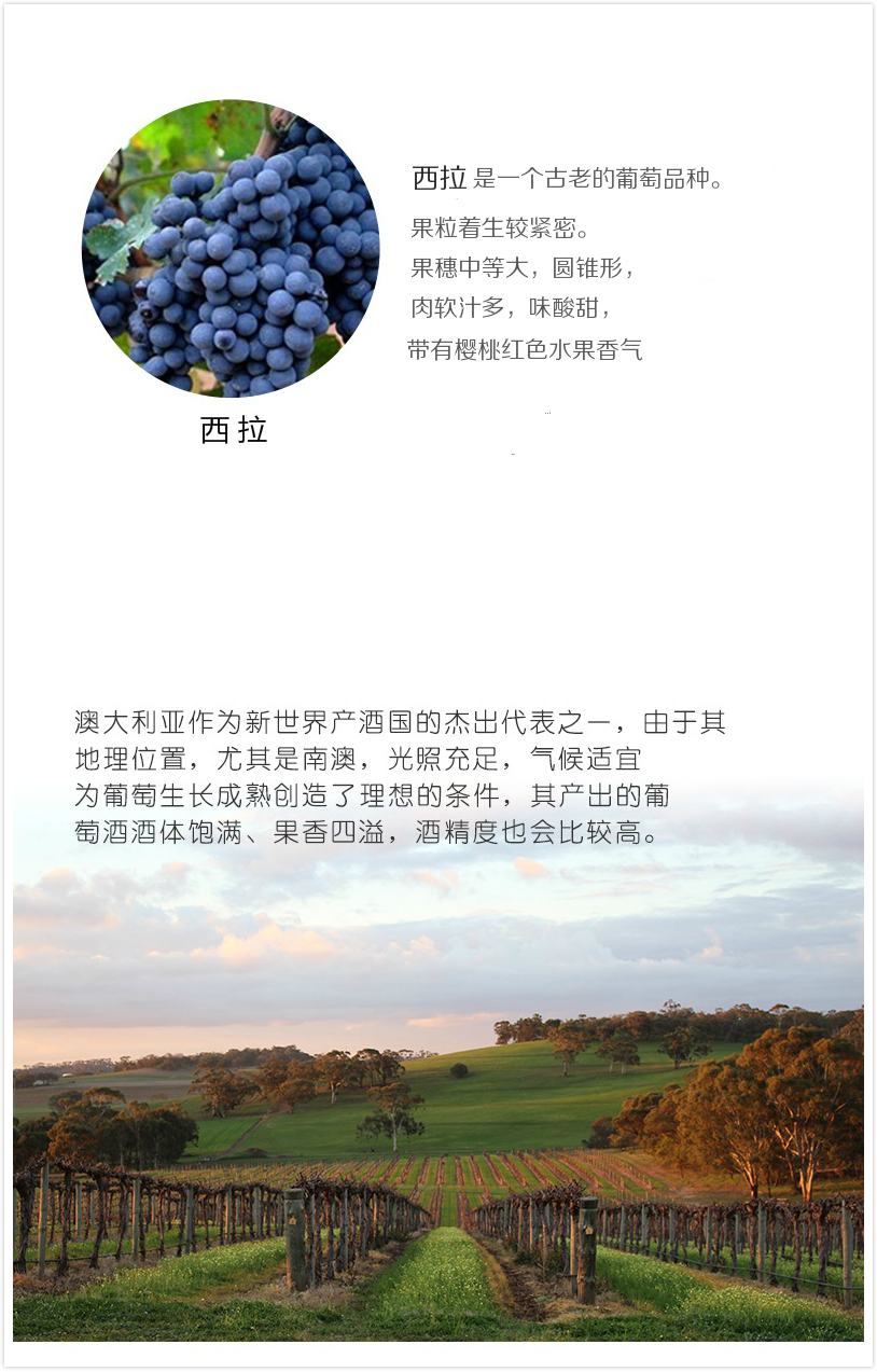 新款宾曼尼冰封干红葡萄酒 博理斯 男爵水滴面具系列整箱6瓶750ml 宾