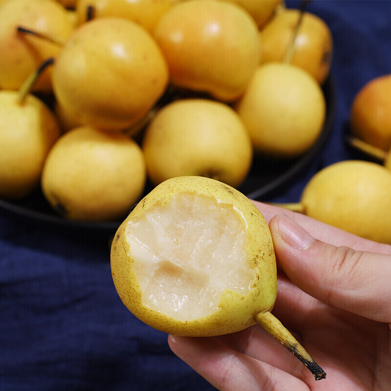 京鲜配送东北小香水梨新鲜水果软糯多汁东北特产水果3斤精选优果