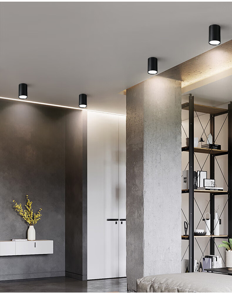 雷士照明(nvc)官方旗舰同款明装筒灯吊线餐厅前台吧台吊灯长桶圆形led