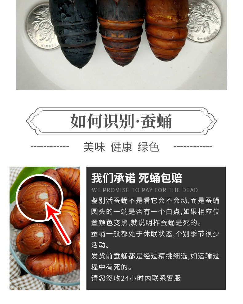 好伙伴食品专营店商品编号:10040385507119商品名称:鲜活柞黑蚕蛹黄