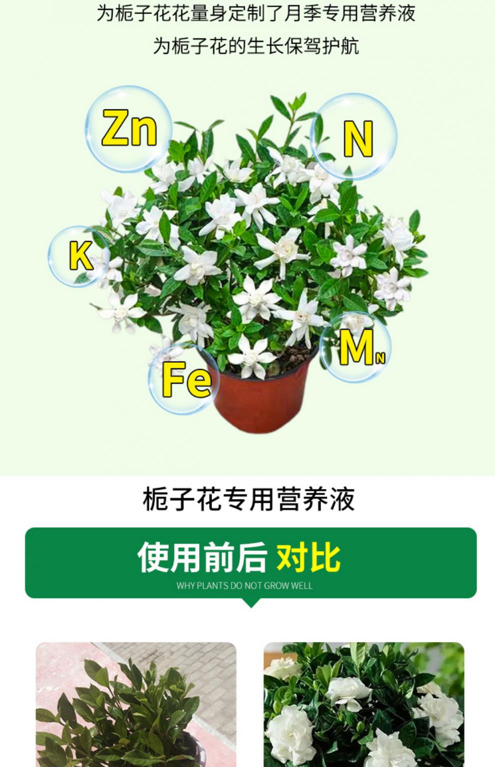 栀子花肥料专用肥营养液开花家用水培植物养花盆栽通用型 栀子花专用