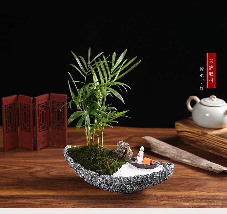 纳格兰袖珍椰子禅意微景观叶植物迷你小盆栽盆景办公室室内常青绿植
