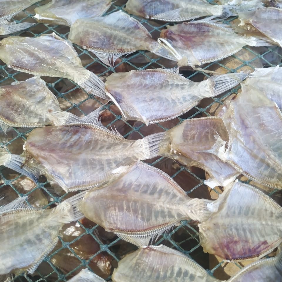 潮汕特色美食剥皮耗子鱼干日晒风干250g圆身迪仔鱼干微咸昌隆福记圆身