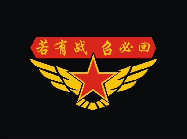 高品质夏季短袖若有战召必回短袖t恤男中国退伍老兵战友聚会军迷圆领