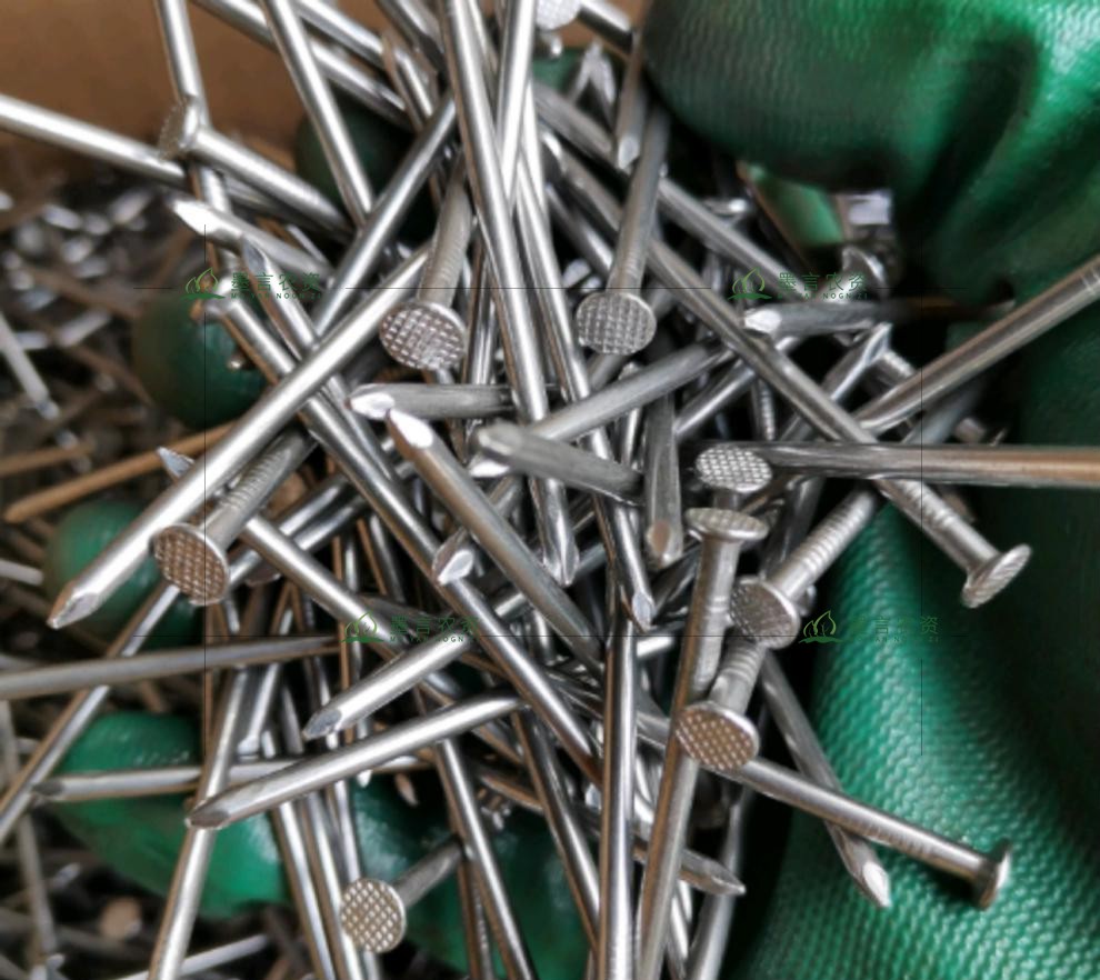 铁钉铁钉子木工小钉子家用圆钉小洋钉8分1 2 3 4 5 6寸 6分 长16*粗1.