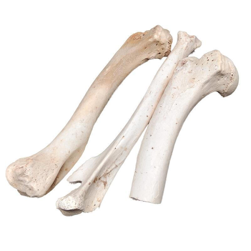 中药材生狗骨头 狗骨头药用狗骨泡酒狗骨粉煅狗骨头炒狗骨黑狗骨 500g