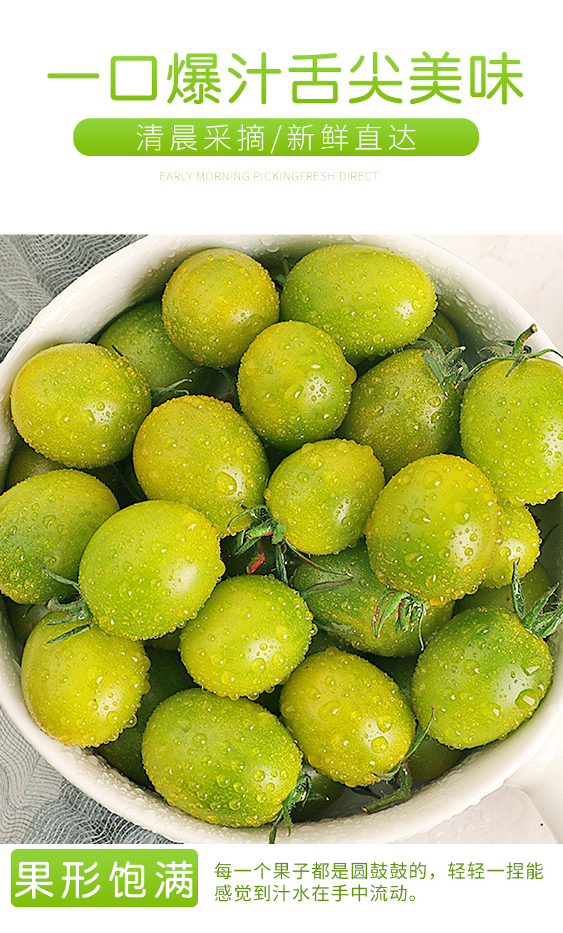 新鲜绿宝石小番茄5斤当季绿色疏菜圣女果青蜜西红柿孕妇水果3斤