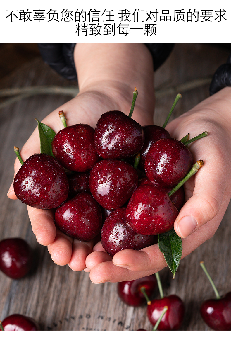 5kg桑缇娜黑珍珠10斤装大樱桃 jj 28mm(含)-30mm(不含) 1000g【图片