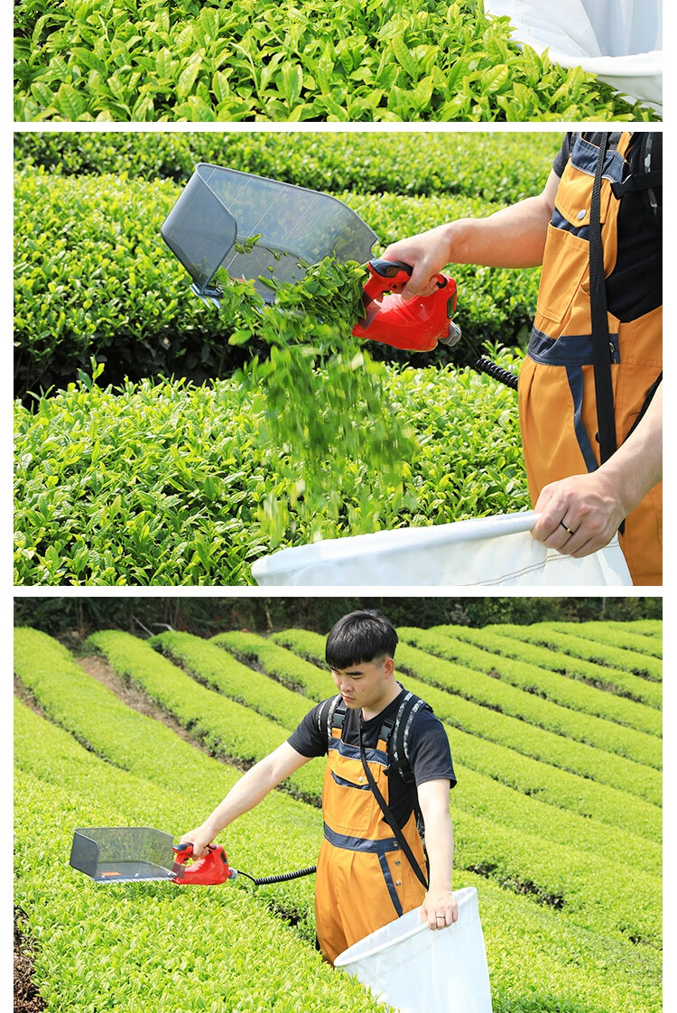 充电式电动采茶机单人小型便携式茶叶收割机采摘机采茶摘茶叶神器