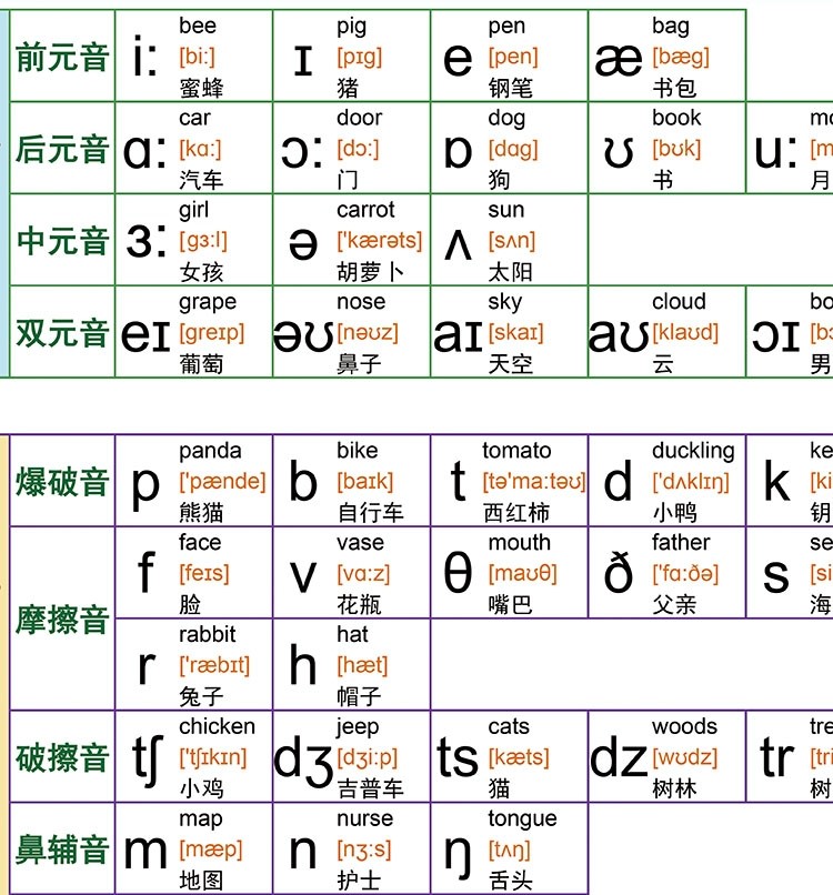 48个音素分类图片