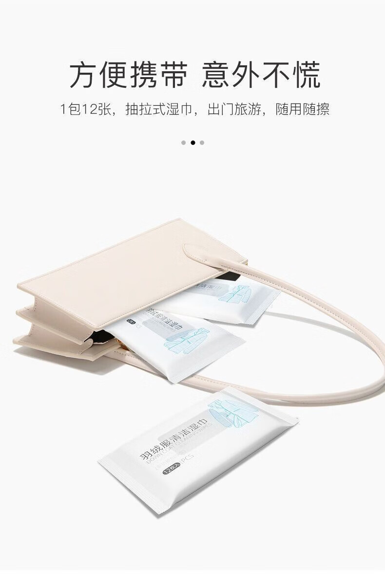 菲脂服清美妆工具干洗湿巾棉袄棉服去渍一擦净家用羽 1包12片 10包