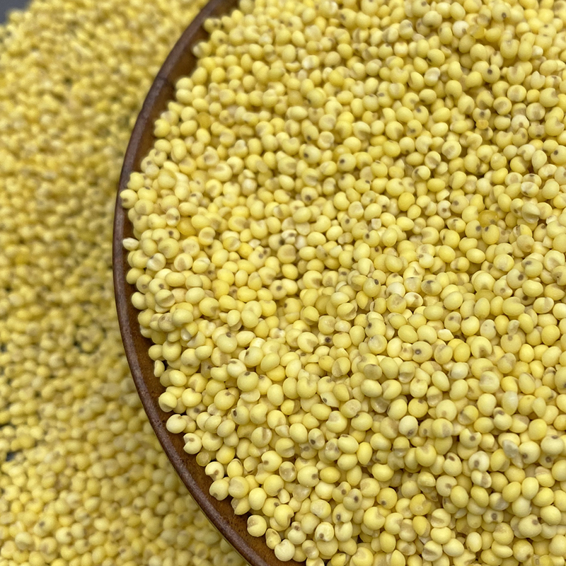 东北农家大黄米黍米五谷杂粮粮食新糯小黄米粘米月子米小米粥粽子