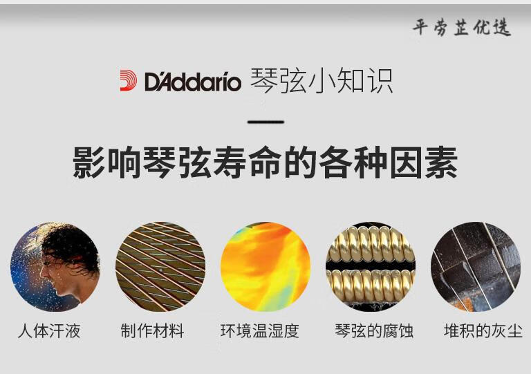 3551881587dfd5ee.jpg