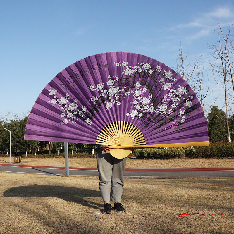 大扇子舞蹈扇 舞蹈扇子跳舞扇 超大扇子客厅卧室挂墙装饰大折扇礼品