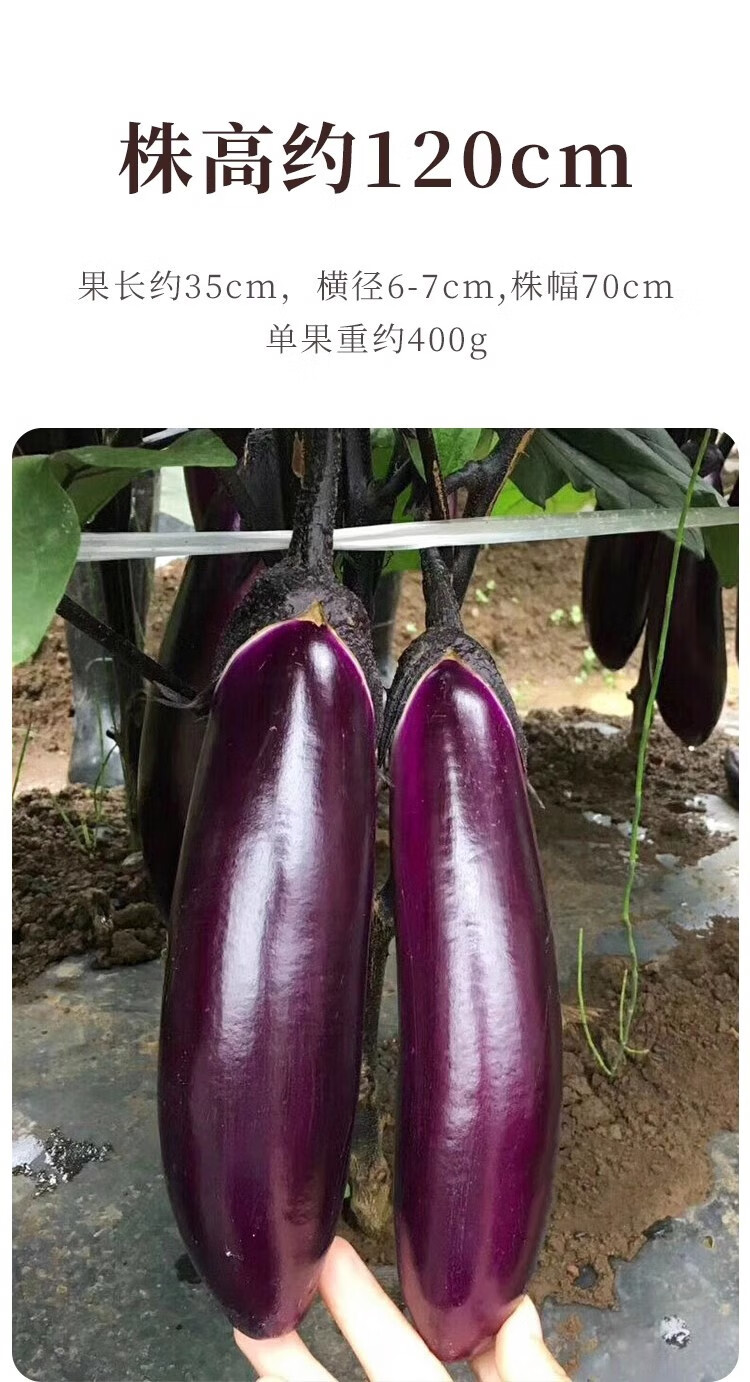 d882c8e6d2d7c7c0.jpg