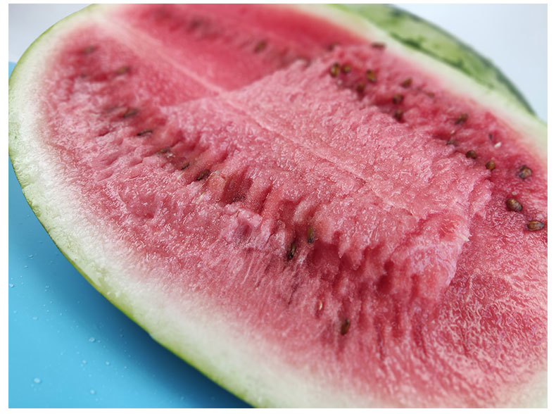 宁夏中卫富硒硒砂瓜 现摘现发水果新鲜西瓜压沙石头巨型沙瓤大西瓜 14