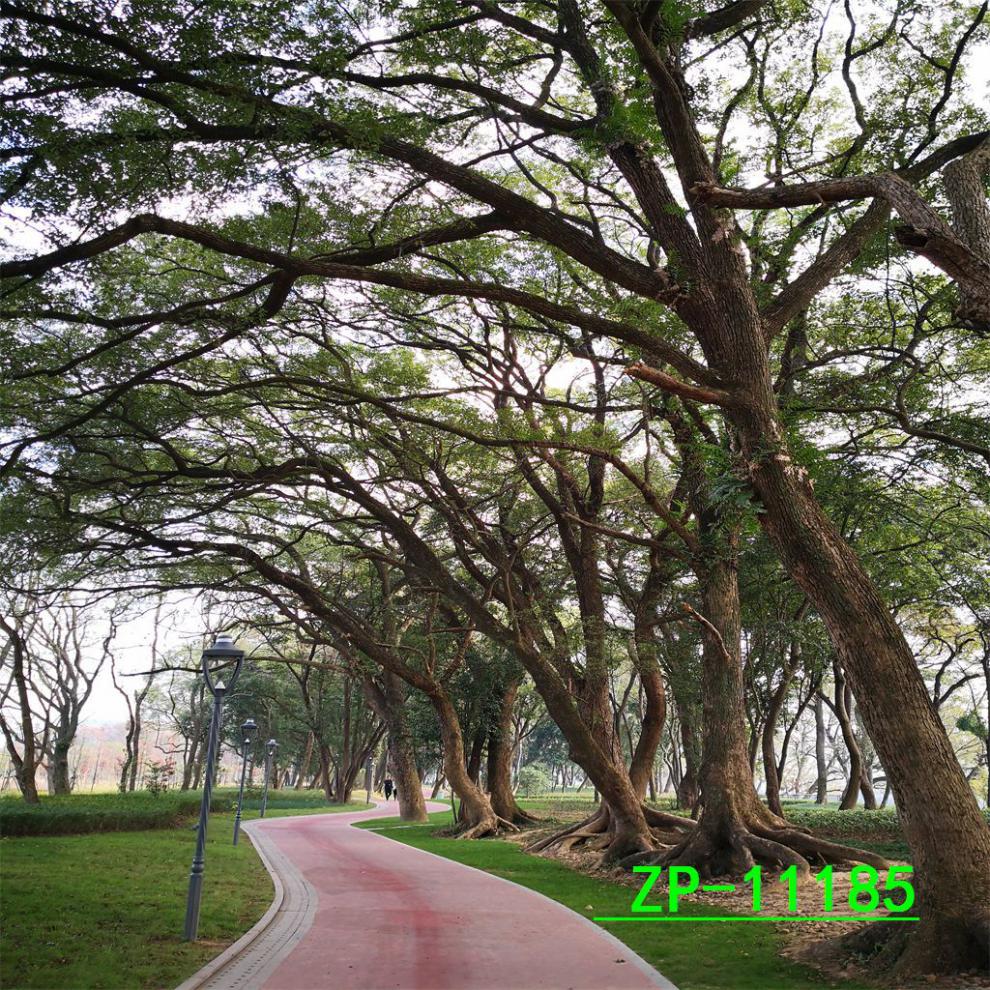 af38f52f-4844-4d57-be52-ed02279f29d5.jpe