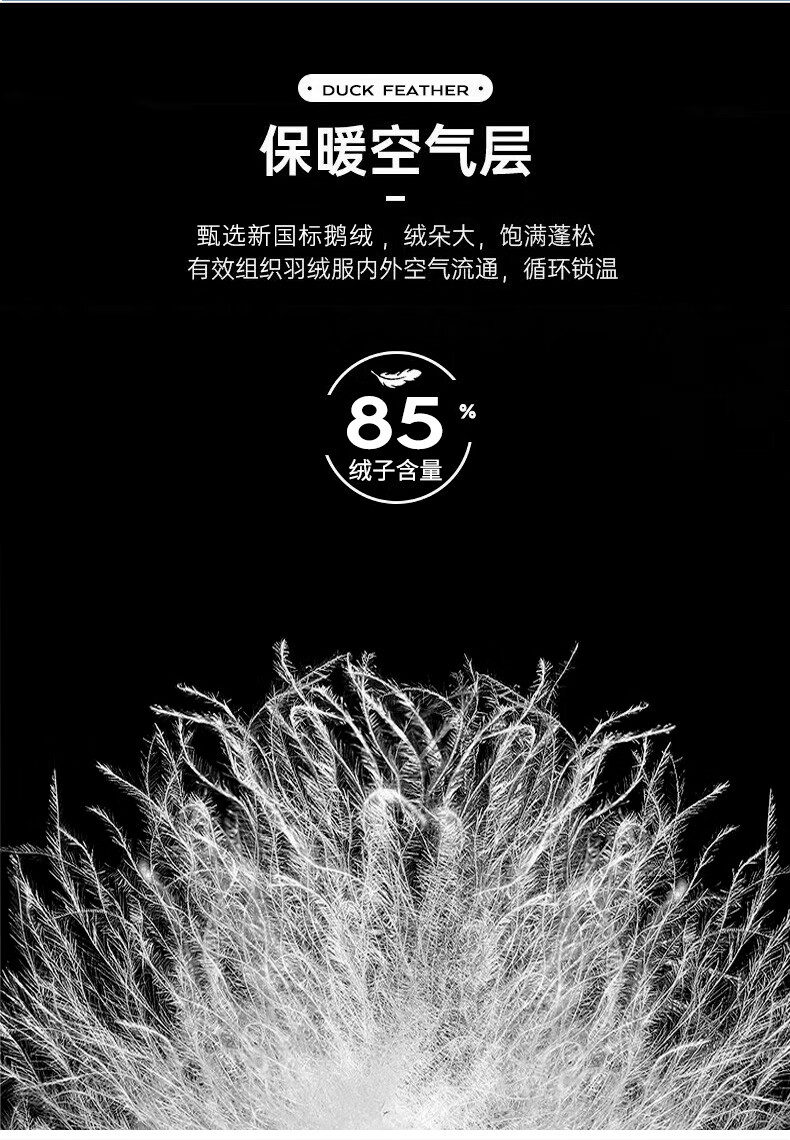 c5edbd892697134e.jpg