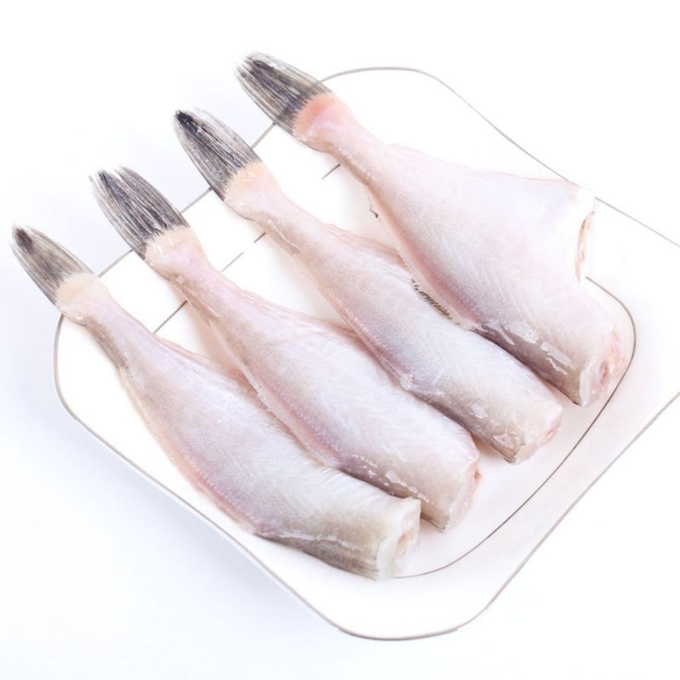 荟鲜港 耗儿鱼小耗儿鱼玻璃鱼马面鱼无头鱼扒皮鱼少冰新鲜海捕 中大号