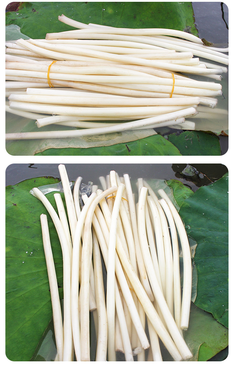 洪湖新鲜藕带3斤时令蔬菜新鲜藕无藕尖藕肠藕带(现挖现发) 1500g