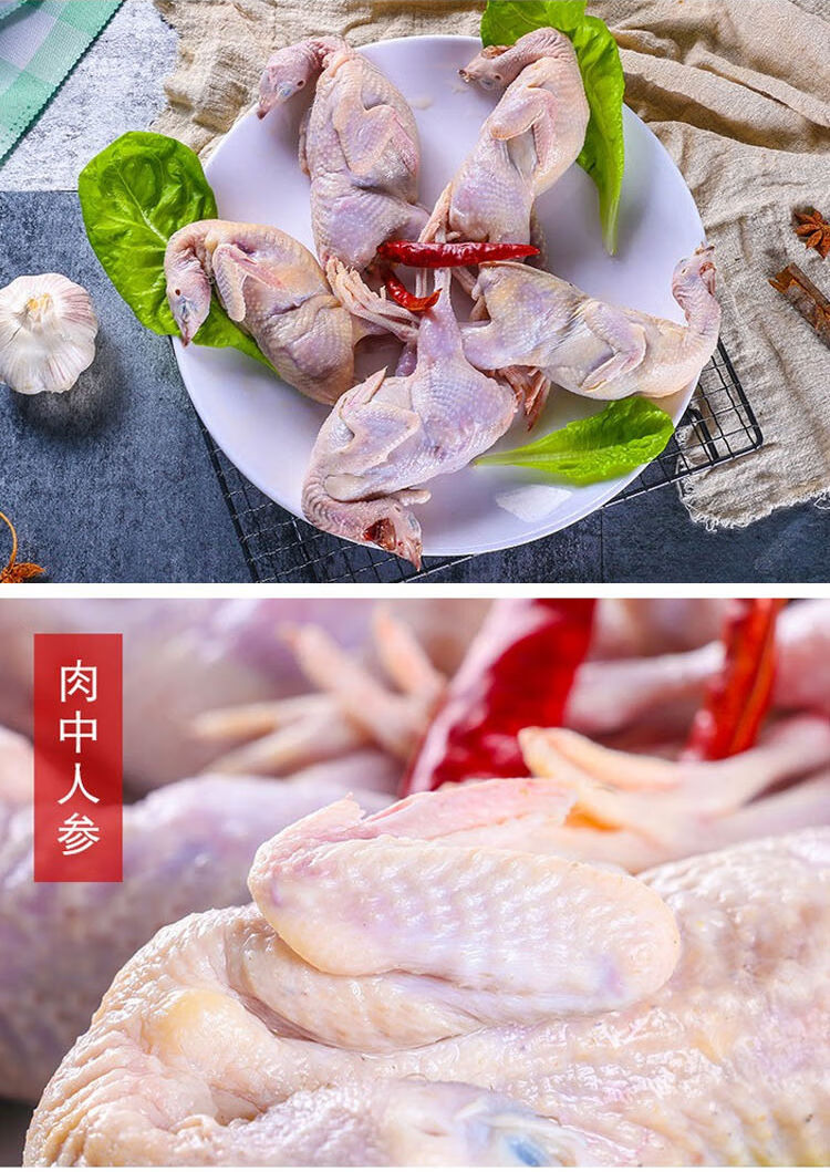 鹌鹑肉30只放血现杀新鲜大号活体冷冻白条生骨肉烧烤炖汤油炸炖二三王
