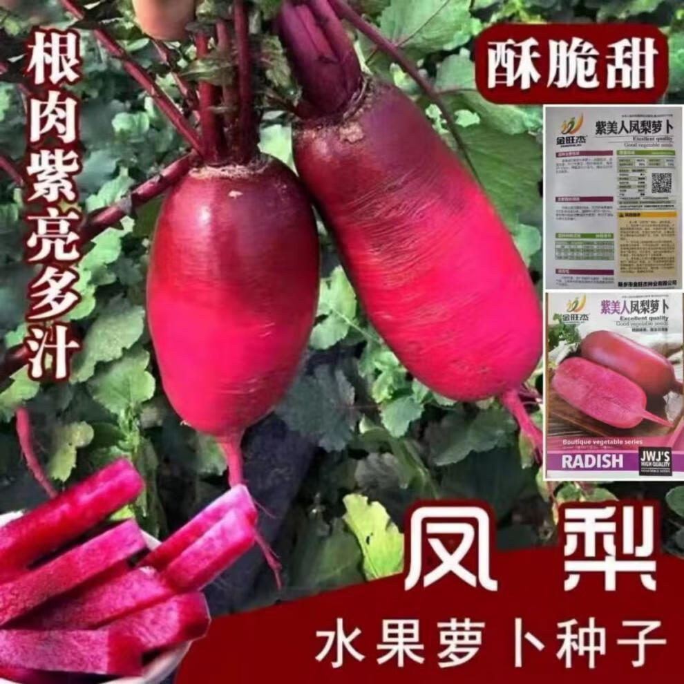 4bb2312a-f6e2-46a3-8677-3ef492434038.jpe
