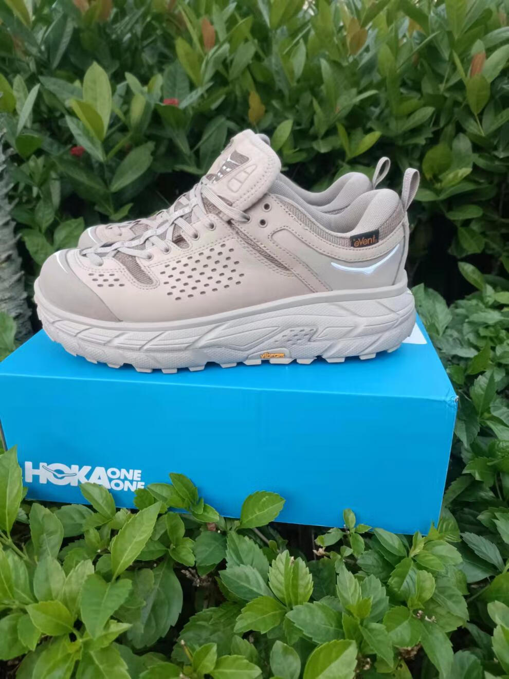 丹纳男鞋hokaoneonetorultralowwp余文乐同款联名防水户外登山休闲鞋