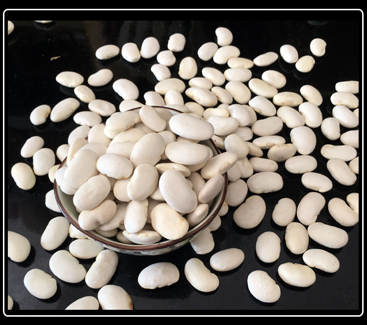 5斤云南特大白芸豆干小雪豆白云子楚雄新鲜扁豆肾豆种子500g内廷上用