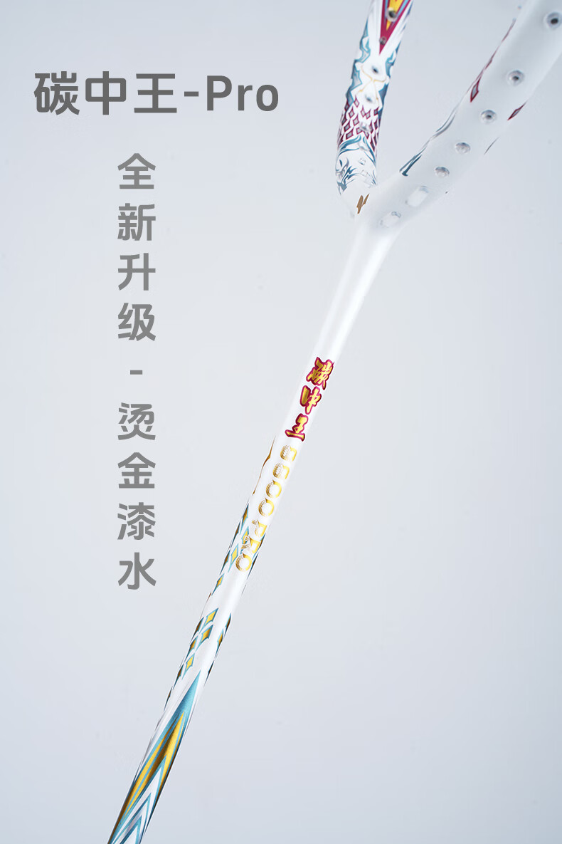 f729d6cff3ed479a.jpg