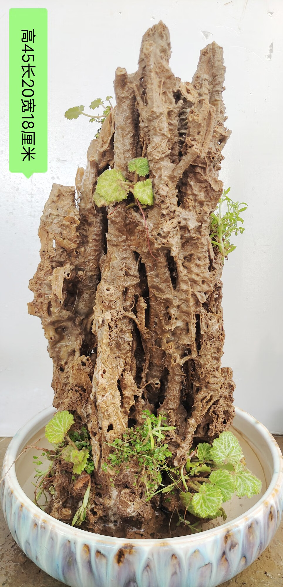 吸水石原石上水石假山盆景客厅新流水装饰摆件造景真石头 巧克力色