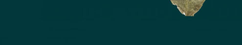 4d3f60448d0f5e8d.jpg