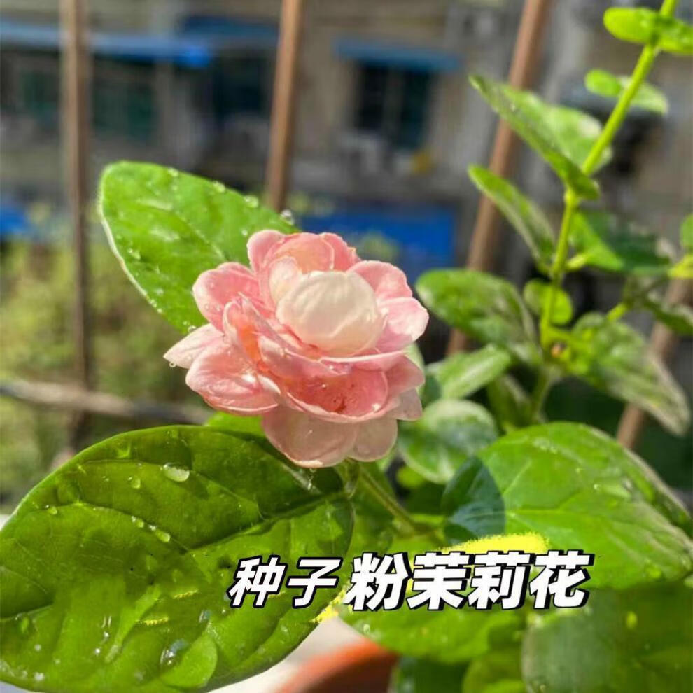 36fe0f36cdacbfa7.jpg